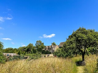 landscape with trees
