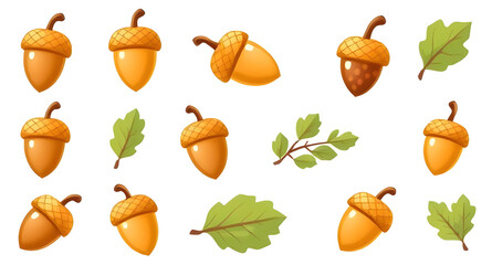 Acorn, Acorn icon, Acorn vector, Autumn acorn, Oak acorn, Acorn illustration, Acorn clipart, Acorn drawing, Brown acorn, Cute acorn, Cartoon acorn, Realistic acorn, Acorn with leaf, Acorn and oak leaf © zpixel