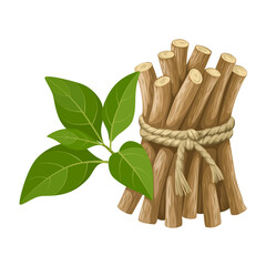Illustration of Ashwagandha or Withania somnifera, also known as Indian ginseng, isolated on white background.bunch of cinnamon sticks