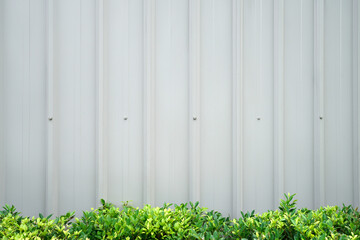 A corrugated metal wall in light grey with fresh green bushes below, creating a clean and modern...