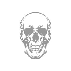 Detailed Skull Design Illustration