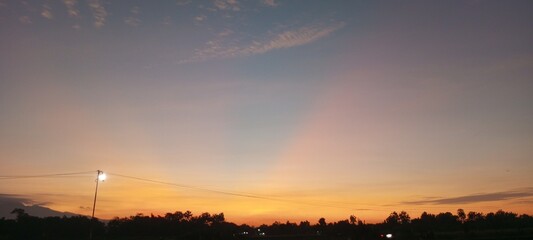 Sunlight Through Tree Leaves at Sunset
