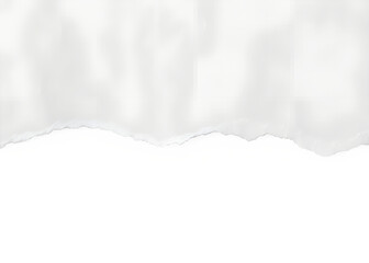 Torn White Paper with Textured Edge and Abstract Coloration