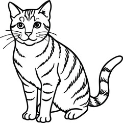 American Bobtail Cat Vector Illustration in Minimal Line Art Style