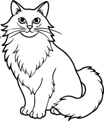 Obraz premium Adobe Illustrator Artwork