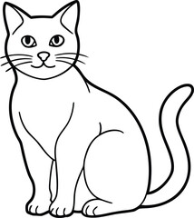 Chartreux Cat Vector Illustration Isolated in Minimal Elegant Line Art Style