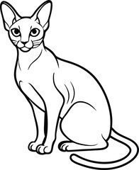 Peterbald Vector Art, Hairless Cat Illustration, Isolated Pet Line Drawing