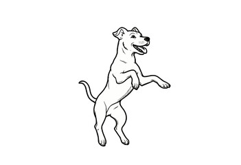 Happy dog standing on hind legs with playful expression  