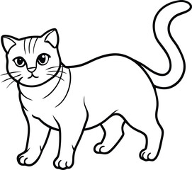 Scottish Fold Cat Vector Illustration in Minimal Cute Line Art Style