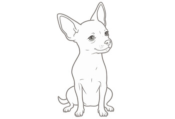 Obraz premium Cute Chihuahua dog illustration sitting with a happy expression 