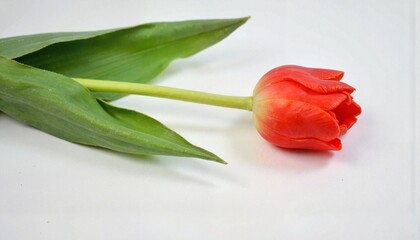 Christmas gift wrapped in brown paper with red ribbon and decorations  