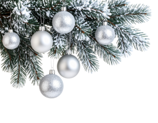 luster of Pine Twigs with Silver Ornaments and Snow Frost, Transparent PNG