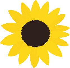 귀여운 노란 해바라기