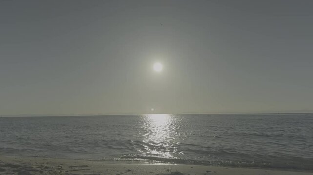 sunset on the beach apple log