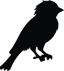 silhouette of a crow