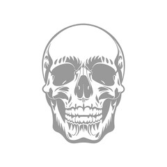 Detailed Skull Design Illustration
