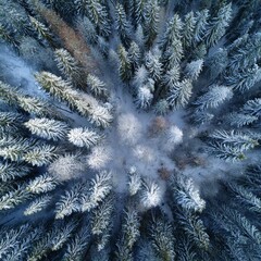 Aerial View of Snow-Covered Forest with Birds and White Blanket of Snow Enhancing Nature's Winter Wonderland