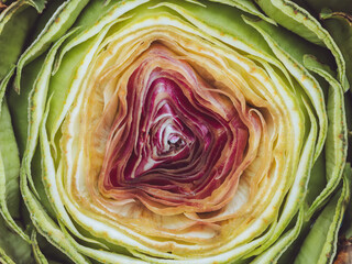 A cross section of a purple artichoke showing it's layers