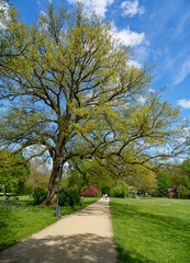 Kurpark im Staatsbad Bad Kissingen, Unterfranken, Franken, Bayern, Deutschland