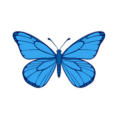 Line Art of a Blue Butterfly Logo, Symmetrical Design
