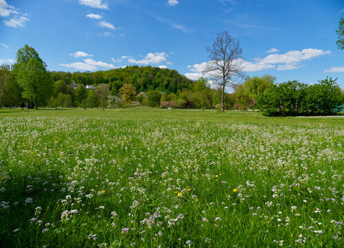 Kurpark im Staatsbad Bad Kissingen, Unterfranken, Franken, Bayern, Deutschland
