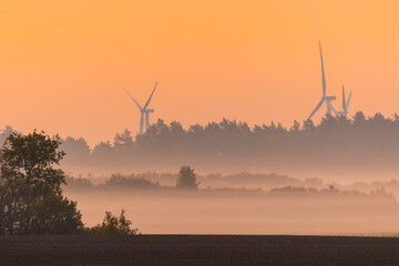 environment landscape with windmills at dawn