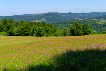Blick vom Farnsberg bei Riedenberg auf die Gipfel der Schwarzen Bergen, Biosphärenreservat Rhön, Landkreis Bad Kissingen Unterfranken, Franken, Bayern, Deutschland