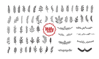 doodle hand drawn leafy line divider ,leaf design element