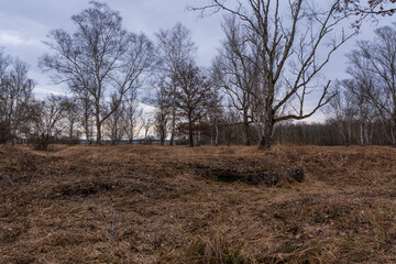 Landschaft im NSG Grettstädter Riedwiesen im Abendlicht, Landkreis Schweinfurt, Unterfranken, Bayern, Deutschland