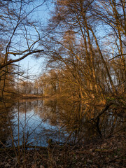 Auwälder am Unkenbach im Naturschutzgebiet Elmuß, Landkreis Schweinfurt, Unterfranken, Bayern,...