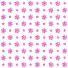 This image features a repeating floral pattern. The pattern consists of evenly spaced