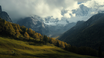 Naklejka premium green field and blue sky. field and clouds