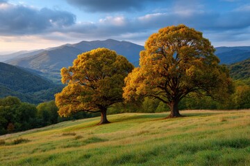Two broad trees stand on a grassy hill against a mountain backdrop under a partly cloudy sky