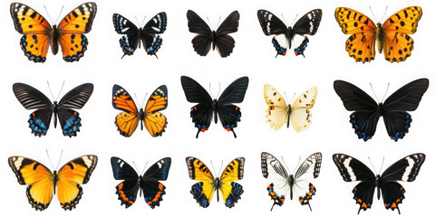 Collection of fifteen colorful butterflies with spread wings isolated on transparent background