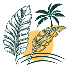 Obraz premium vector set of feathers
