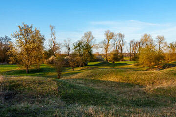 Abendstimmung im NSG Sulzheimer Gipshügel, Landkreis Schweinfurt, Unterfranken, Bayern, Deutschland