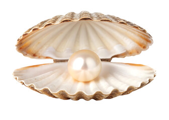 Elegant pearl in seashell, luxury jewelry on transparent background