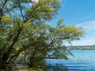 Petite plage de Sable au bord du lac de Sainte-Croix au pied des Gorges du verdon, le long du sentier GR 99 depuis Bauduen au pied de la Colline du Defens

