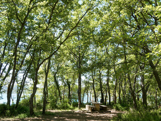 Le sentier de GR 99 sur la rive Sud du Lac de Sainte-Croix au pied du Verdon. Espace de détente et restauration à l'ombre des chênes blancs bordant le lac
