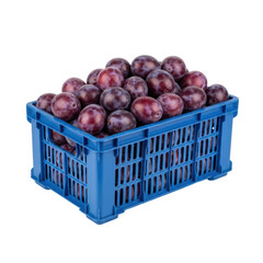 A vibrant display of fresh, ripe purple plums packed tightly in a blue plastic crate, ready for sale or transport.