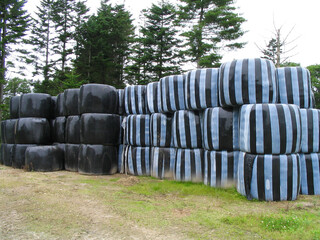 草ロール（発酵中）