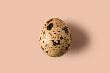 Fresh quail egg on beige background