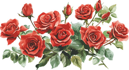 Obraz premium Beautiful red rose bouquet, a symbol of love and romance, isolated on white