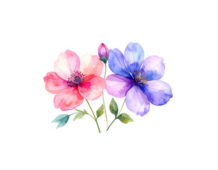 Obraz premium Blue and pink spring flowers with butterflies on white background