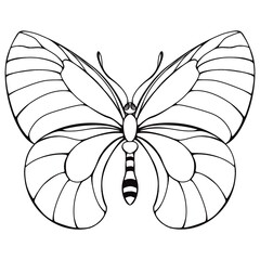 A black and white line art illustration of a butterfly with symmetrical wings and detailed patterns. The clean outlines make it suitable for coloring activities, tattoos, or decorative designs.