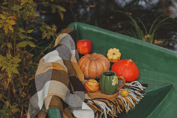 Autumn picnic on a boat with pumpkin and apples
