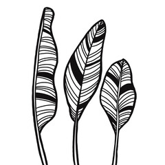 A black and white line art illustration of three stylized tropical leaves with bold, striped patterns. The design has a modern, abstract feel, perfect for coloring pages or decorative prints.