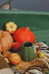 Autumn picnic on a boat with pumpkin and apples.