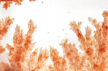 A macro photograph of vividly red, lab-grown crystals, showcasing their intricate geometric...
