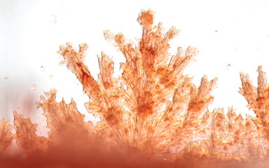 A macro photograph of vividly red, lab-grown crystals, showcasing their intricate geometric...